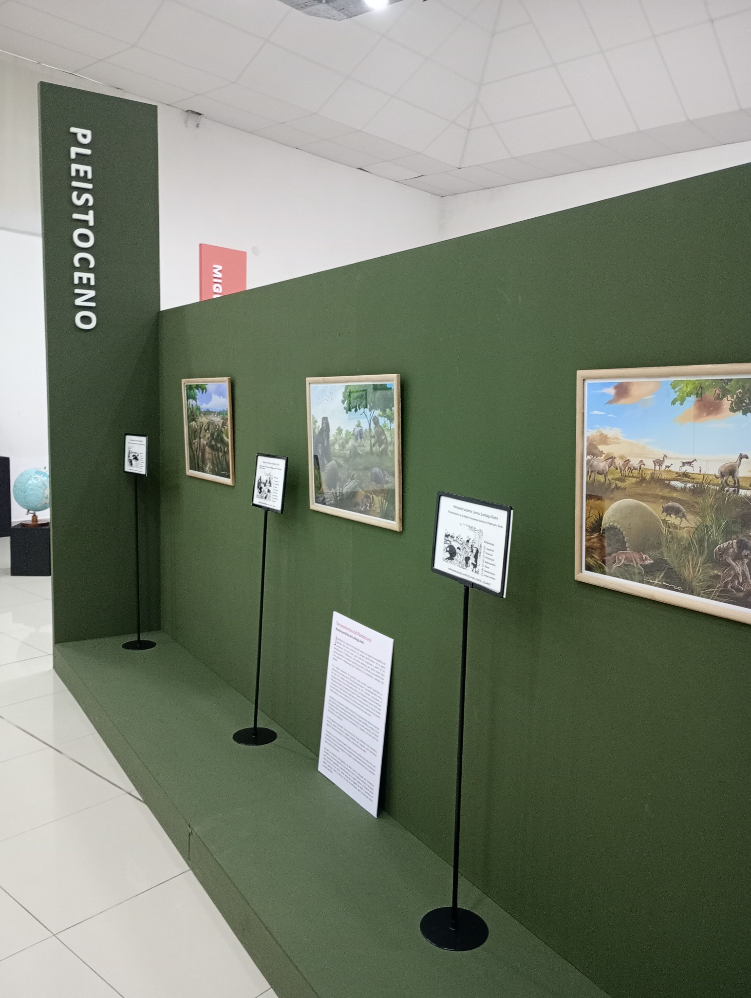 Ambientación de muestra