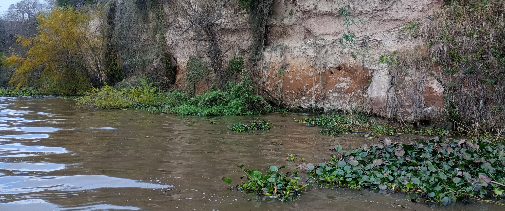 Ambientes acuáticos del Paraná